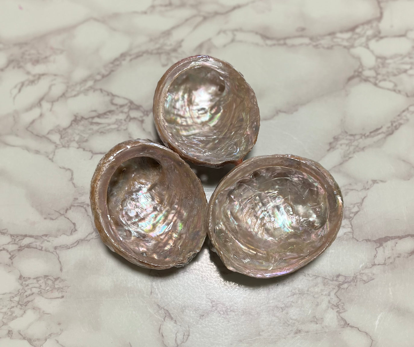 Large Smudging Abalone Shell