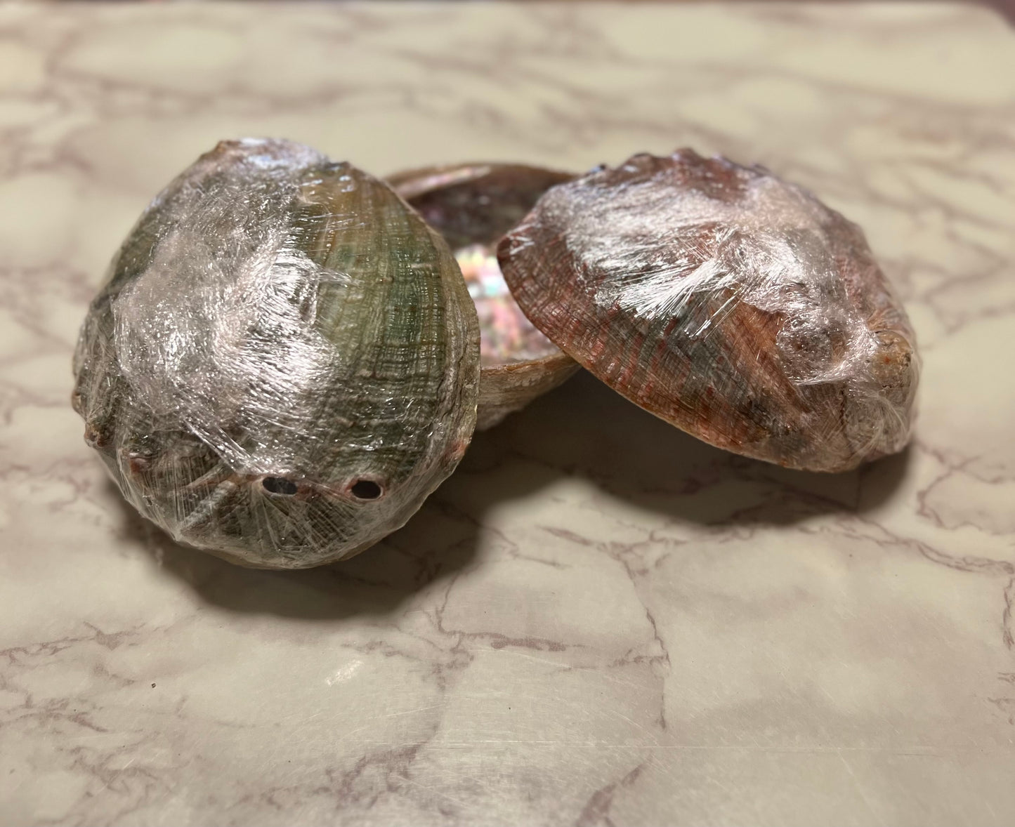 Large Smudging Abalone Shell