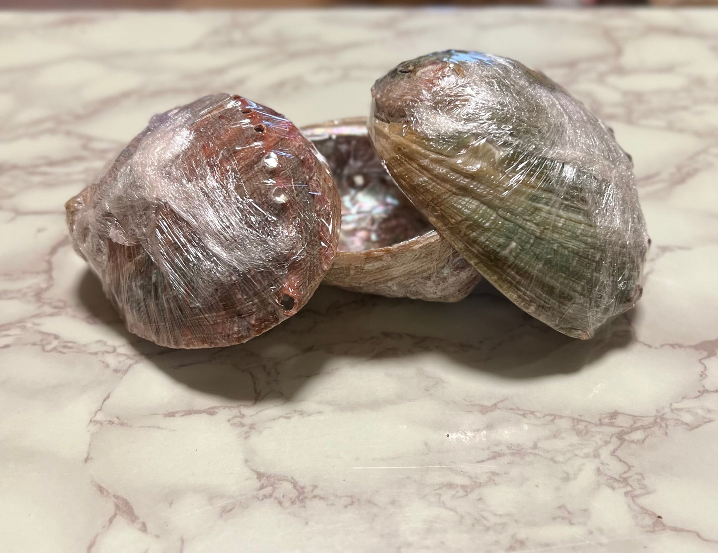 Large Smudging Abalone Shell